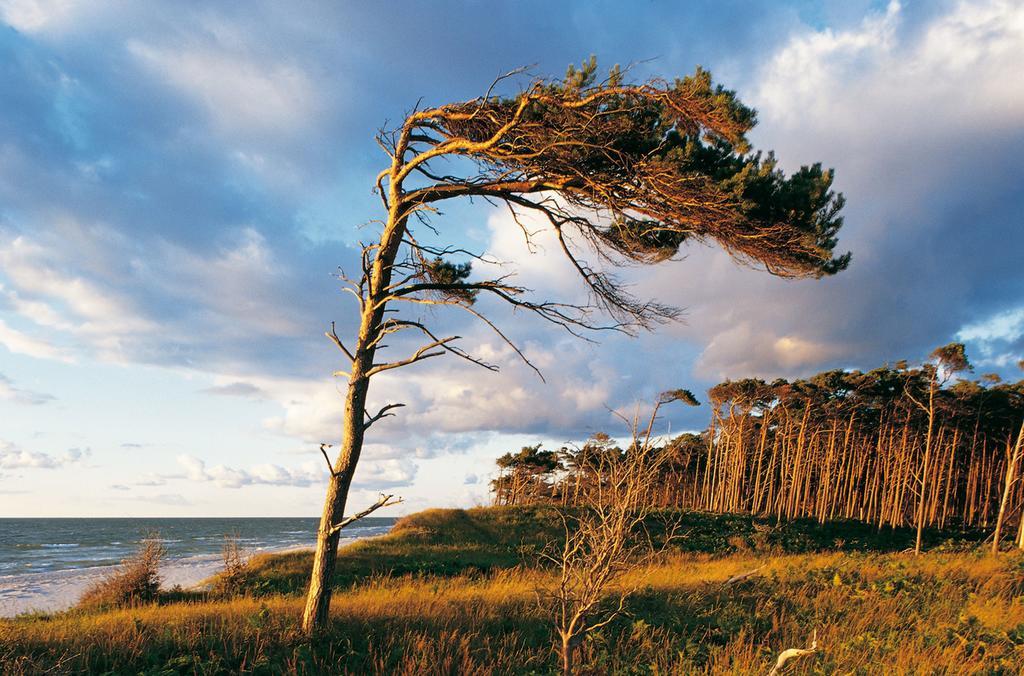 Strandhotel Dunenmeer - Adults Only Dierhagen Exteriér fotografie